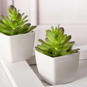 1pc Mini Simulation Moonlight Succulent Potted Plant - Suitable For Home Stays, Hotels, Reception Desks, Window Sills, Kitchens, And Wedding And Shower Party Decorations,Fake Plants,Fall Decor,Room,Desk,Garden Decor,Room Decoration Stuff Green