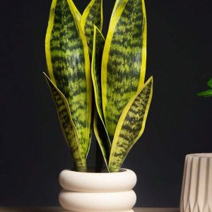 1pc Artificial Tiger Skin Begonia Plant Without Pot For Home Table Decoration Green