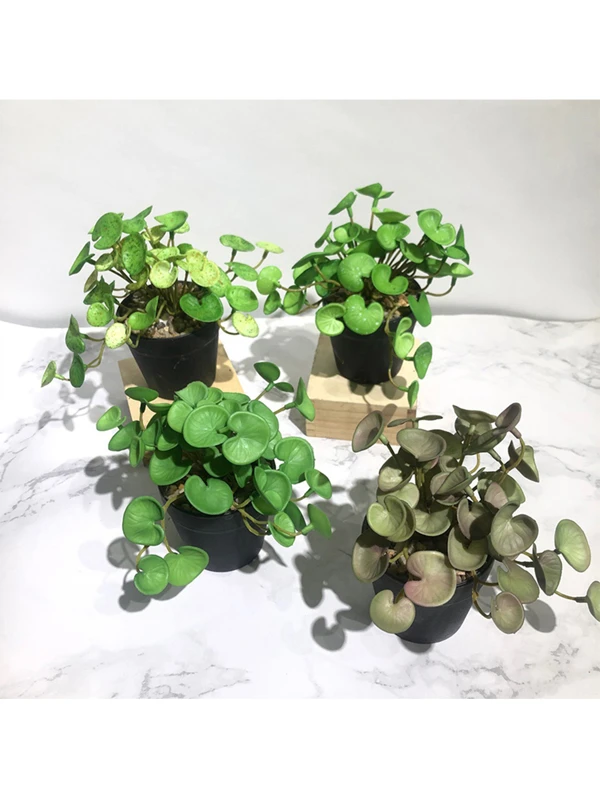 Simulation Green Plant Copper Coin Grass Artificial Flower Fake Ivy Leaves Green Plant Desktop Bonsai Plants Home Shop Decor TZK