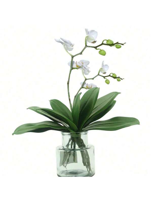 Artificial Green Phalaenopsis Simulation Moth Orchid Leaf Real Latex Touch Green Plant For Flowers Garden Bonsai Decor ( 5 Leaves) Phalaenopsis Leaves