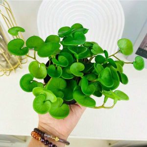 Like Real PU Cute Artificial Plant With Pot Green Simulation Plants For Home Desktop Decoration PU Money Leaf-black With Pot