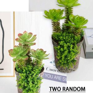 Creative Succulent Combination Simulation Plant Potted Plant-Elegant Home Deco-No Watering Required-A Modern Accent-Bestseller Indoor Greenery AccessoryBestseller Indoor Greenery Accessory Green